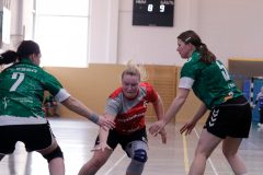 Derby - HV G/W Plessa - Frauen 08.03.2025