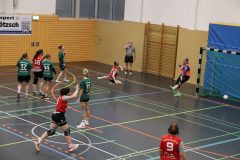 Frauen - BSV G/W Finsterwalde