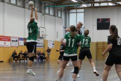 F-Plessa041025-14