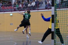 F-Plessa041025-17