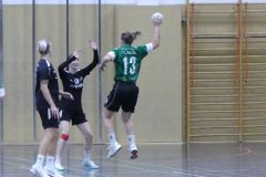 F-Plessa041025-18