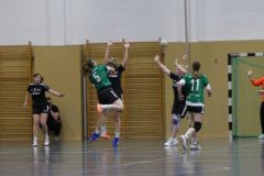 F-Plessa041025-2