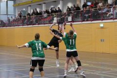 F-Plessa041025-20