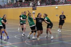 F-Plessa041025-26