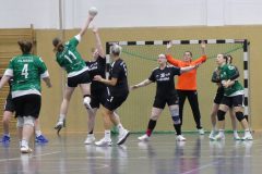 F-Plessa041025-4