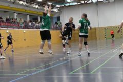 F-Plessa041025-5