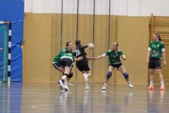 F-Plessa041025-6