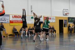 F-Plessa041025-8