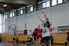 F-Ortrand-05042025-5