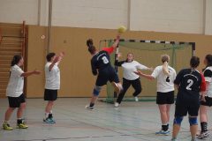 Handball Cup 2016 - Spiele