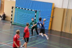IMG_5528