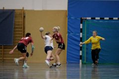 MG_0210