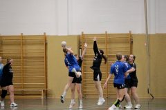 MG_0349