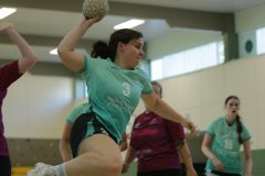 IMG_6023