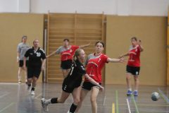 IMG_7384