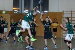 Handball Elsterwerda – Guben 25.01.2014