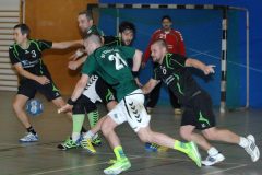 Handball Elsterwerda – Guben 25.01.2014