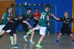 Handball Elsterwerda – Guben 25.01.2014