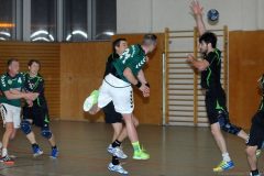 Handball Elsterwerda – Guben 25.01.2014