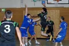 Handball Elsterwerda – Lübbenau 19.10.2013