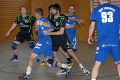 Handball Elsterwerda – Lübbenau 19.10.2013