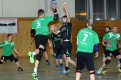 HandballEwPlessa100115C