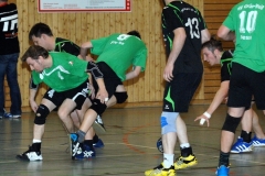 HandballEwPlessa100115D